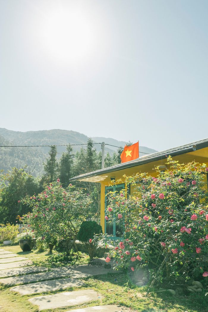 Sunny outdoor scene with a vibrant yellow house and lush floral garden.